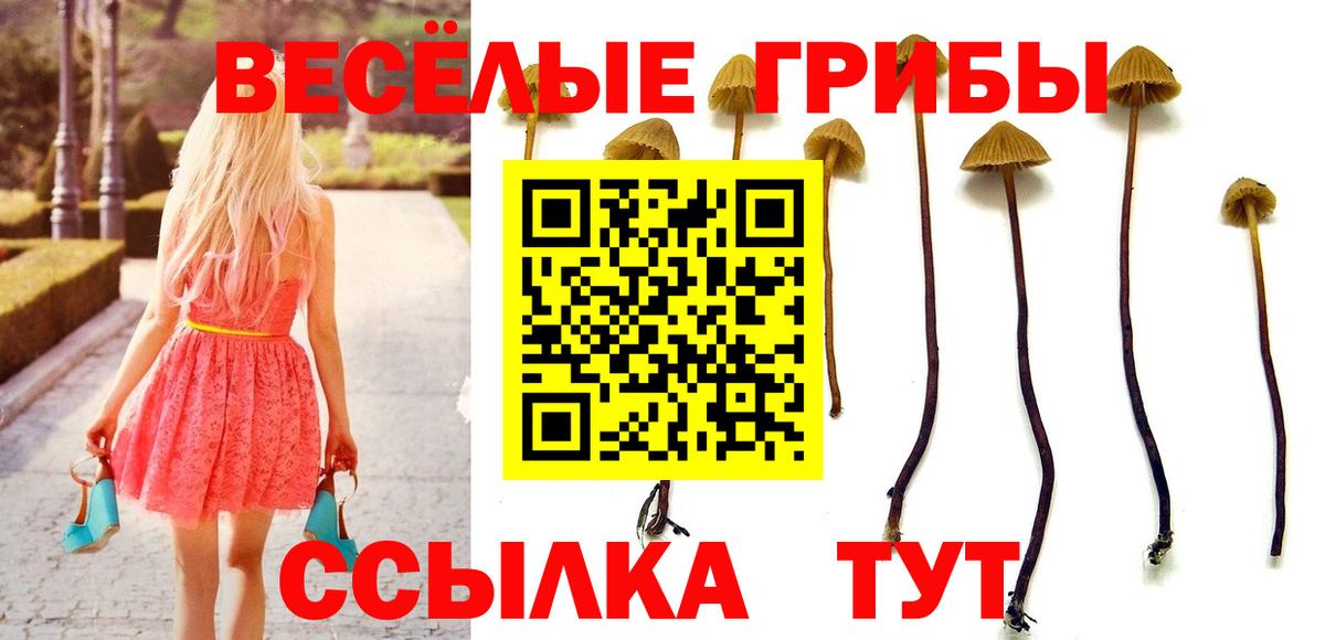 Галлюциногенные грибы MAGIC MUSHROOMS  Вход с VPN  Краснокаменск 